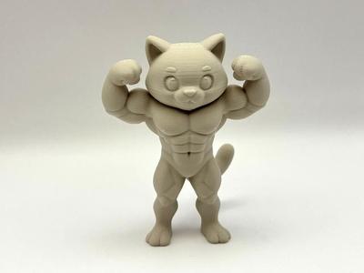 Beefy Cat