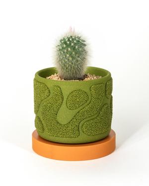 Moss Planter 80x60mm