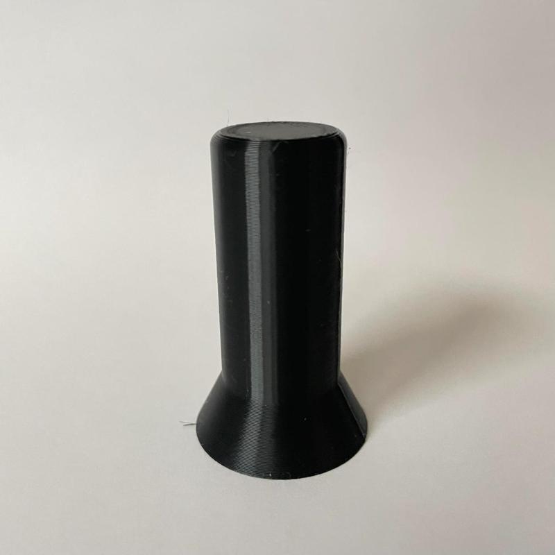 Rook