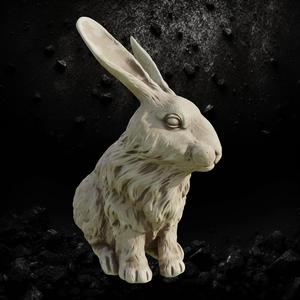 Rabbit