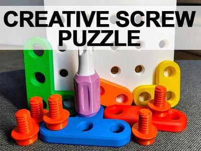 Creative Screw Puzzle