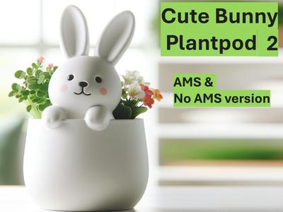 The Cute Bunny Plantpod 2