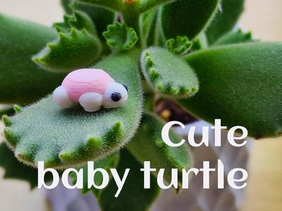 Cuty Baby Turtle