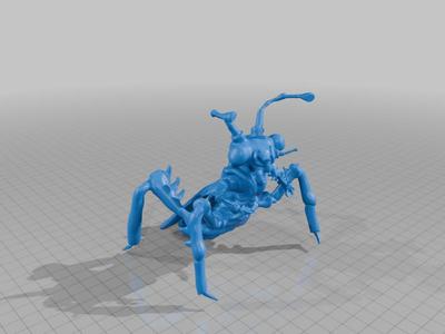 Bug Person
