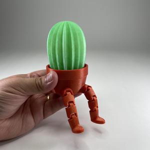 Cactus Pal