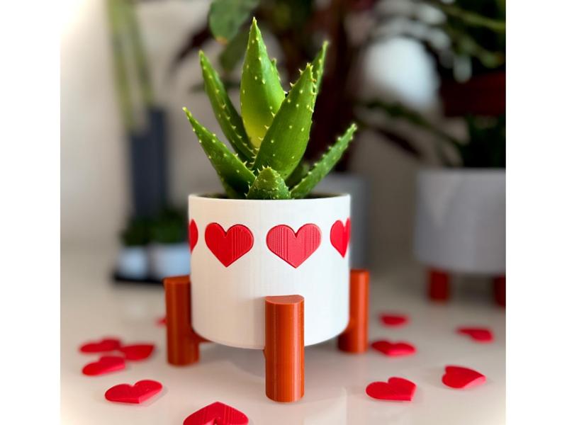 Valentine flower pot with hearts (NO AMS)