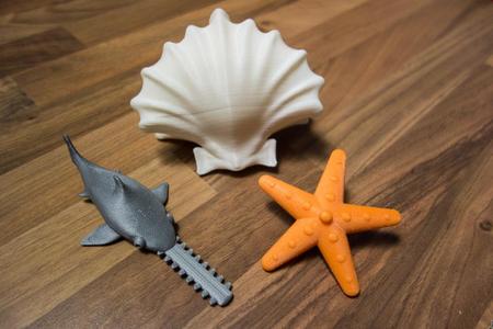 Spinning Toy: Starfish, Sawfish, Shellfish