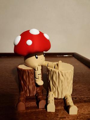 Mushroom Buddy!