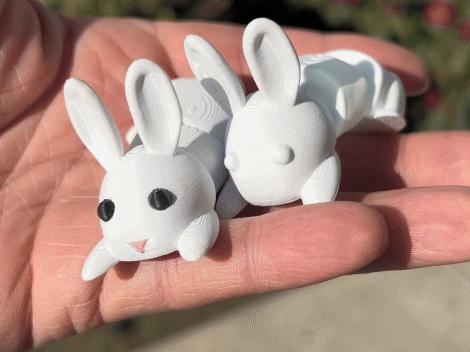 Cute Articulating Bunny Flexi