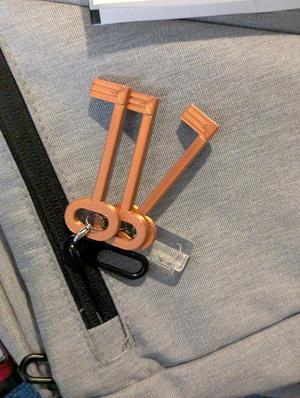 Palestinian key