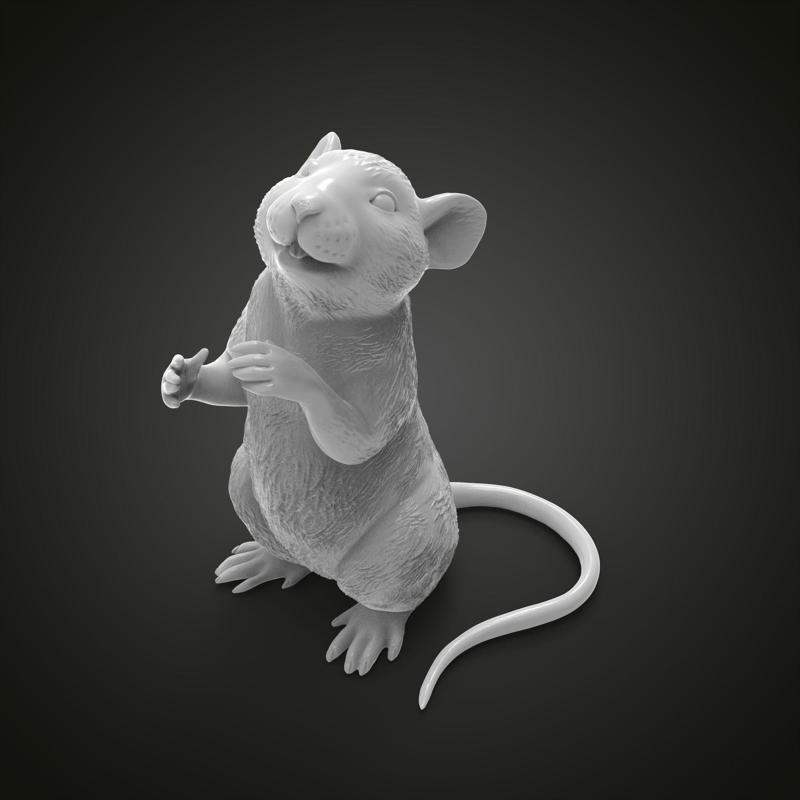Mouse rat
