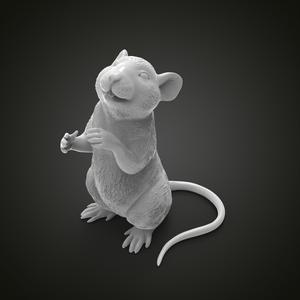 Mouse rat