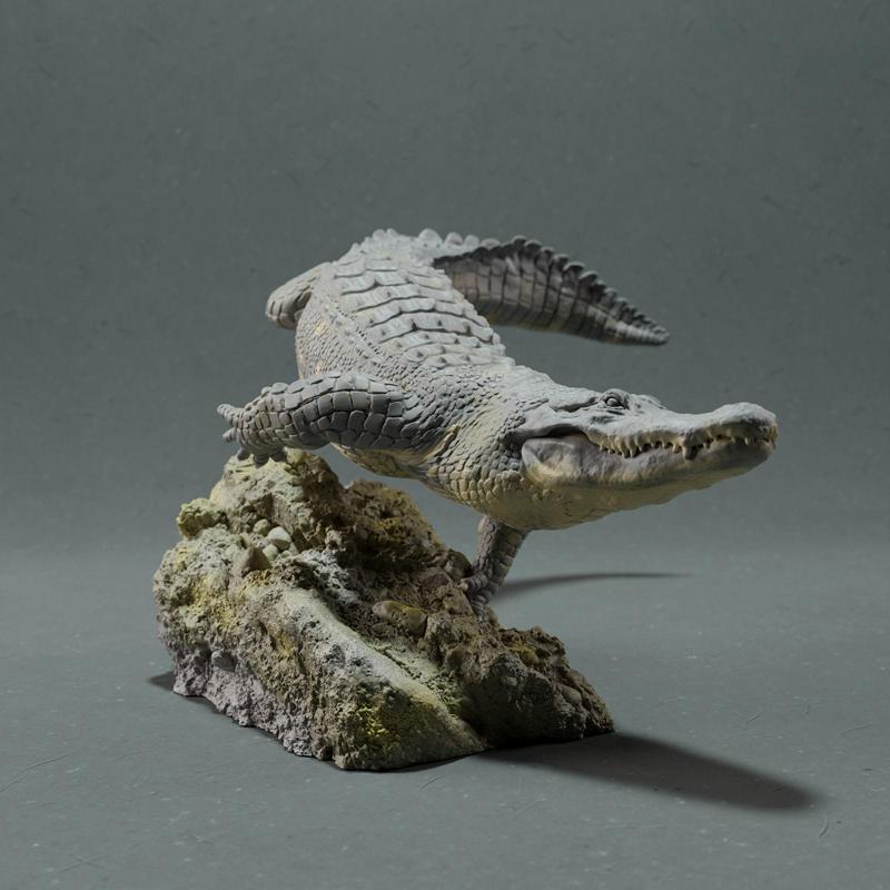 American Alligator – Swim