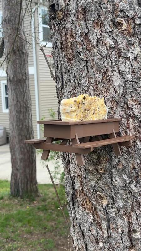 Picnic Table Bird Feeder
