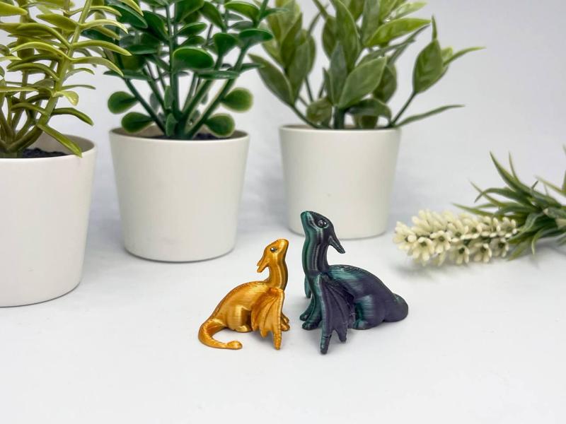 Little dragons