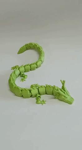 Long Dragon Flexi