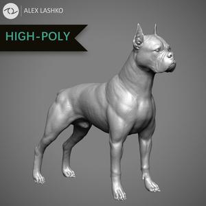 Boxer High-Poly dog