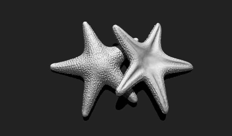 Starfish 5 – 3D Print – Aquarium