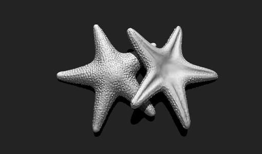 Starfish 5 – 3D Print – Aquarium