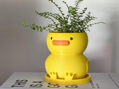 AMS Friendly Duck Plant Pot Planter