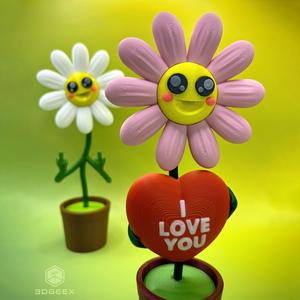Valentine's Daisies