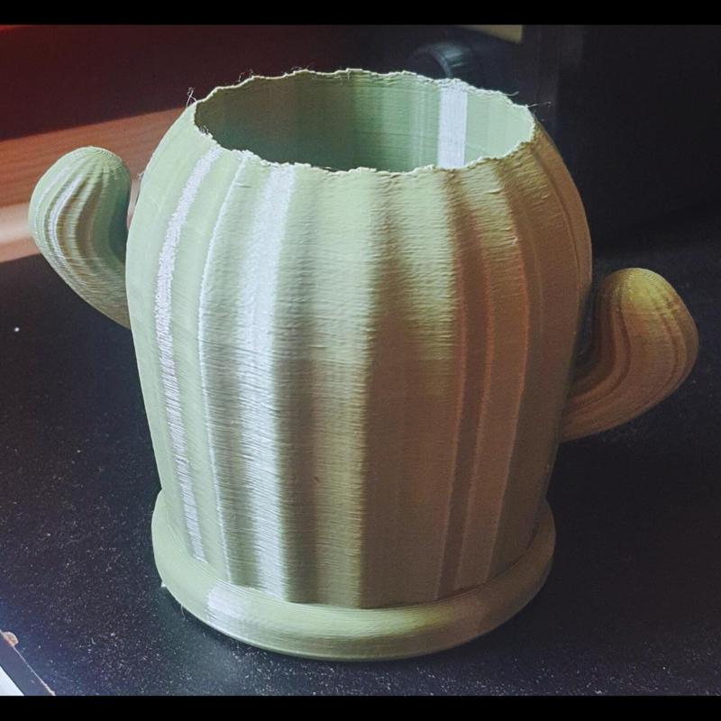 Cactus Penstand/Planter