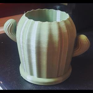 Cactus Penstand/Planter