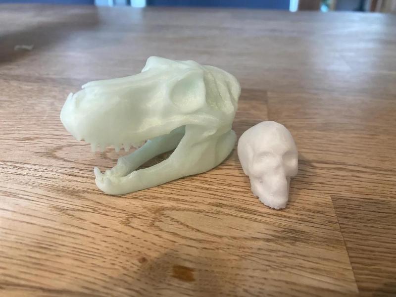 T-Rex Skull