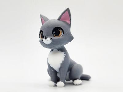 Dexter Cat