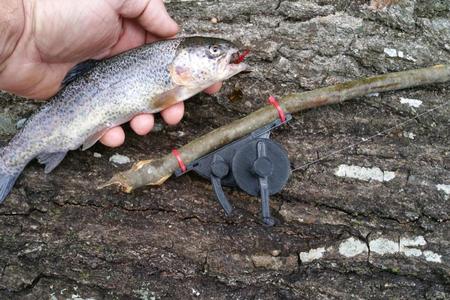 altoids fishing kit "sunfisher"