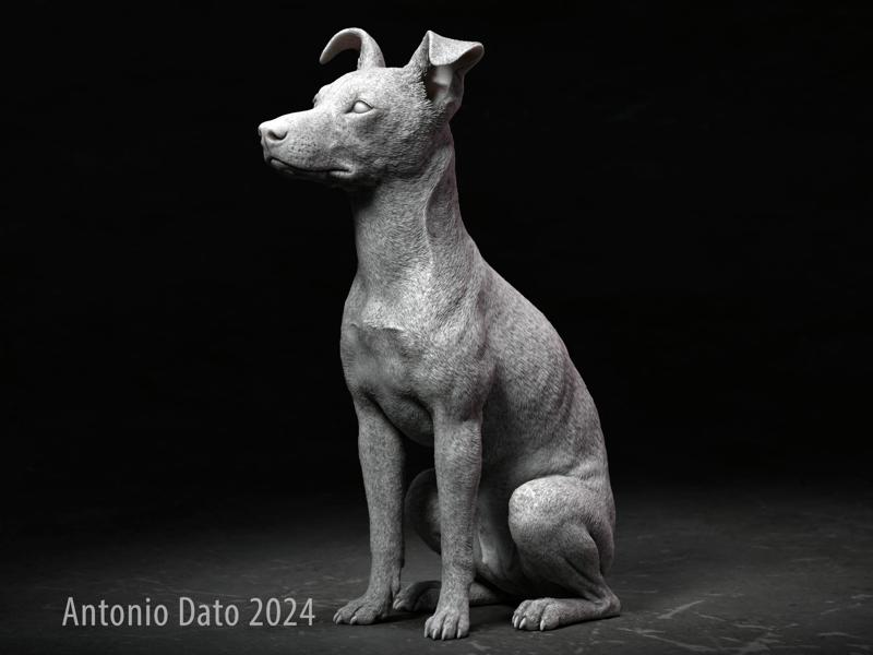 Ratonero Bodeguero Andaluz Young Female Dog Sitting