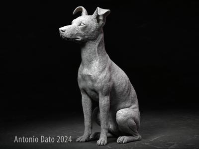 Ratonero Bodeguero Andaluz Young Female Dog Sitting