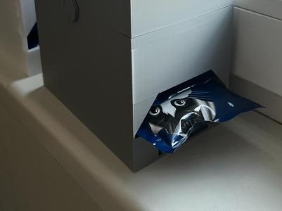Endless cat pouch dispenser
