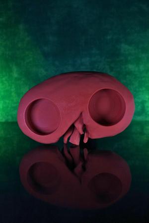 Kidney Tea Light (Pre Supported)