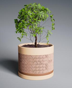 Planter Pot Ramen with Straight Base