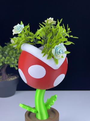 Piranha Plant complete