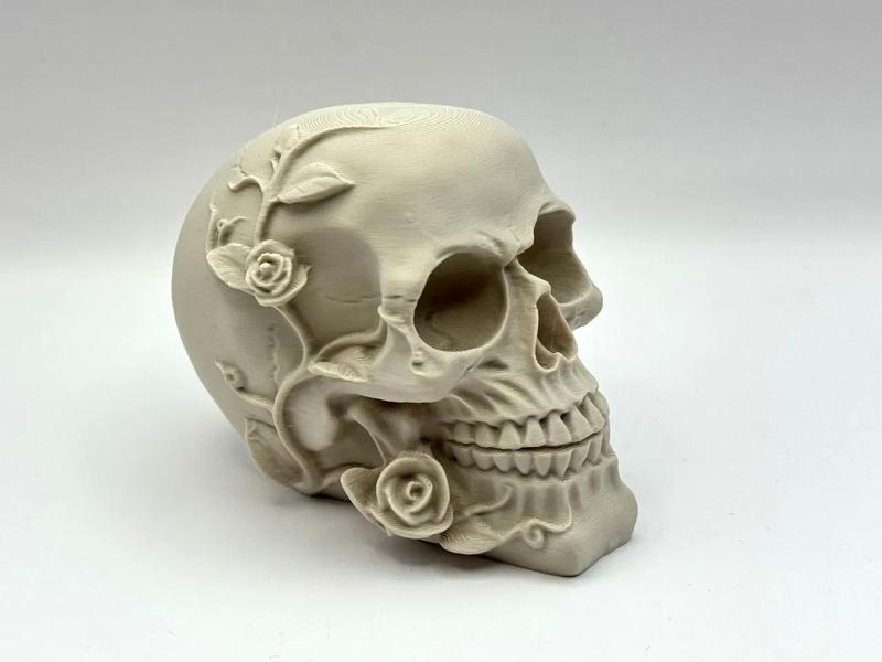 Death Blooms – Ornamental Skull with Roses   