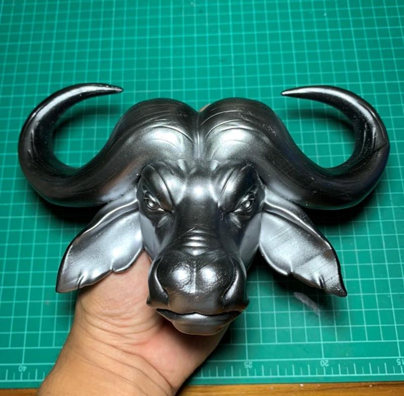 African buffalo Head