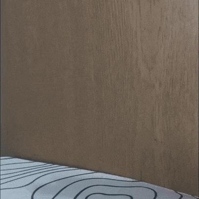 cassette centipede