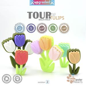 Tour of Tulips