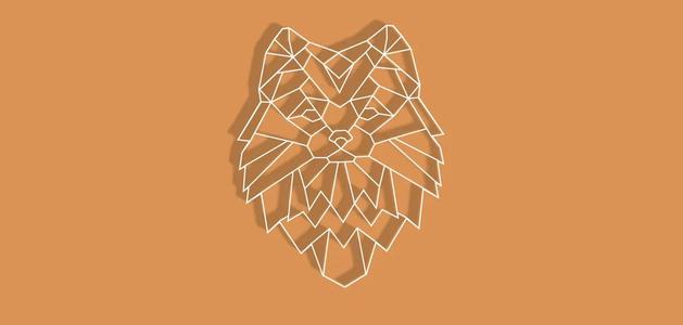 Geometric Pomeranian Dog