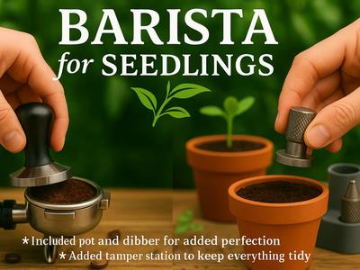 Barista for Seedlings