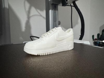 Air Force Shoe