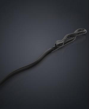 Peter Pettigrew’s Second Wand – Harry Potter