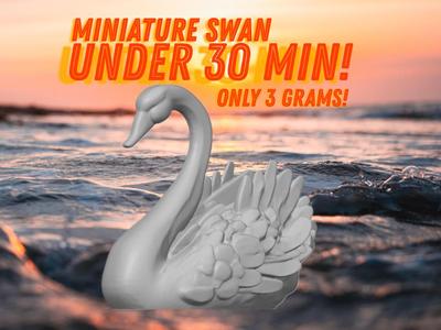 Mirage Swan