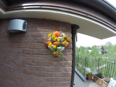 Vases for wall gardening