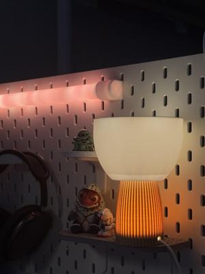 Minimal tiny mushroom desk lamp