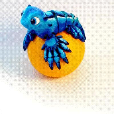 Blue Dragon / Glaucus Atlanticus (“The real life pokemon”)