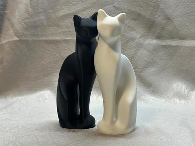 Adorable Cat Couple Black & White Cat