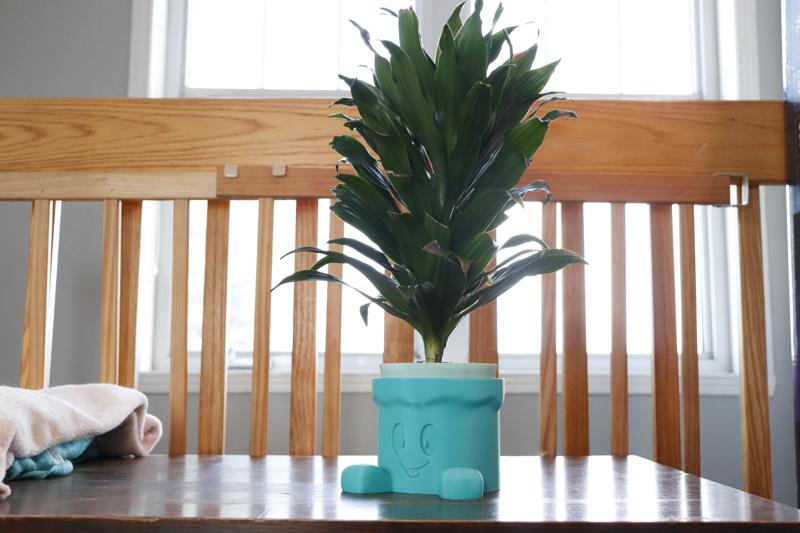 Cartoon Guy Planter